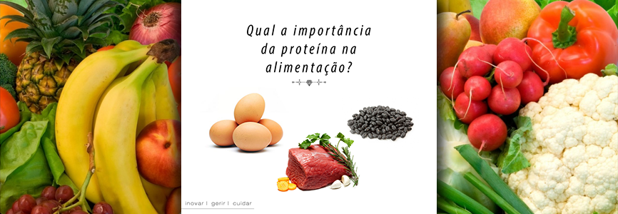 Imagem ilustrativa para o post "Qual a importância da proteína da alimentação?"